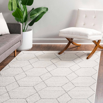 Living room with a geometric patterned rug, gray sofa, white chair, and plant.