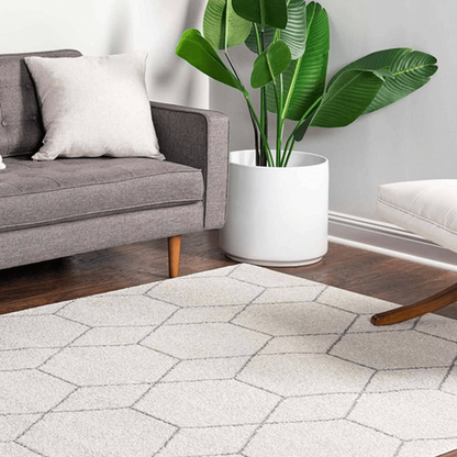Living room with a gray sofa, white rug, and a potted plant.